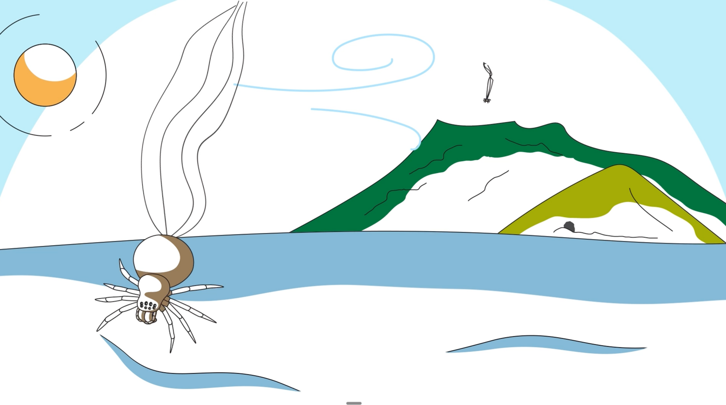 Animation Nature. Examples Tutorial Case Study: How a Science Animation Led to Real-World Conservation Outcomes