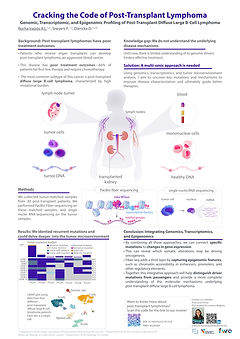 Sample student poster.