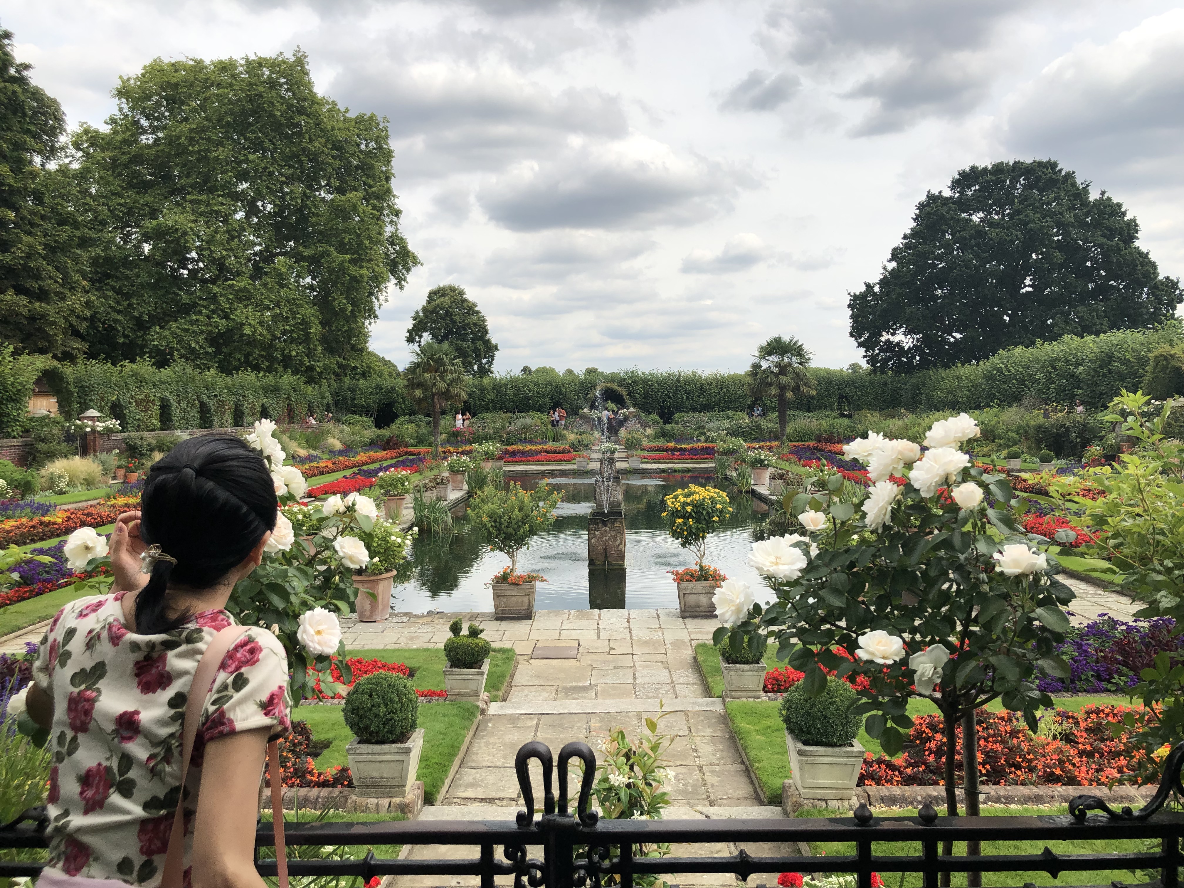 植林募金 植樹 自然保護 イングリッシュガーデン ハーブガーデン英国 植林募金 植樹 自然保護 イングリッシュガーデン ハーブガーデン英国