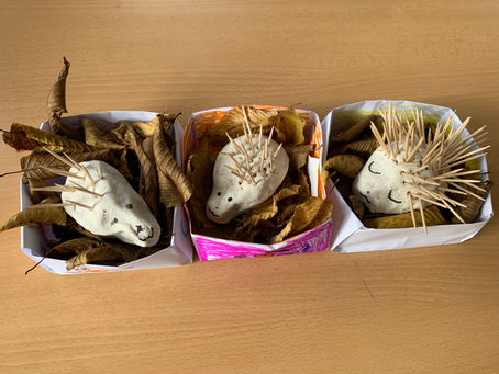 Igelchen im sicheren Nest im Kindergarten Vita