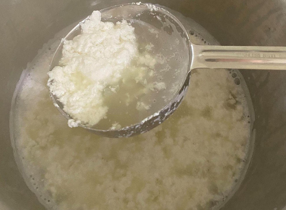 Curds and Whey shortly after adding in the vinegar.