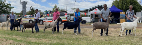 Gulgong Show 2022