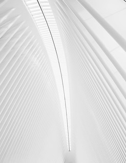 pexels-arthurbrognoli-2260840_edited