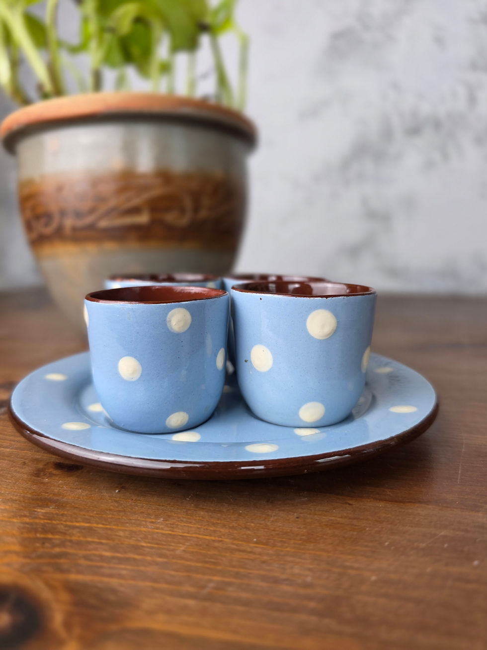 Torquay Pottery Polka Dot Egg Cup Set with Tray Retro Liqueur Cups Devon
