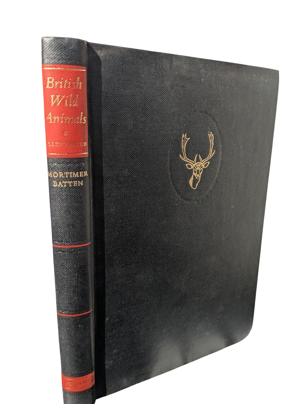 Thumbnail: British Wild Animals Book by H. Mortimer Batten – Illustrated Odhams Press