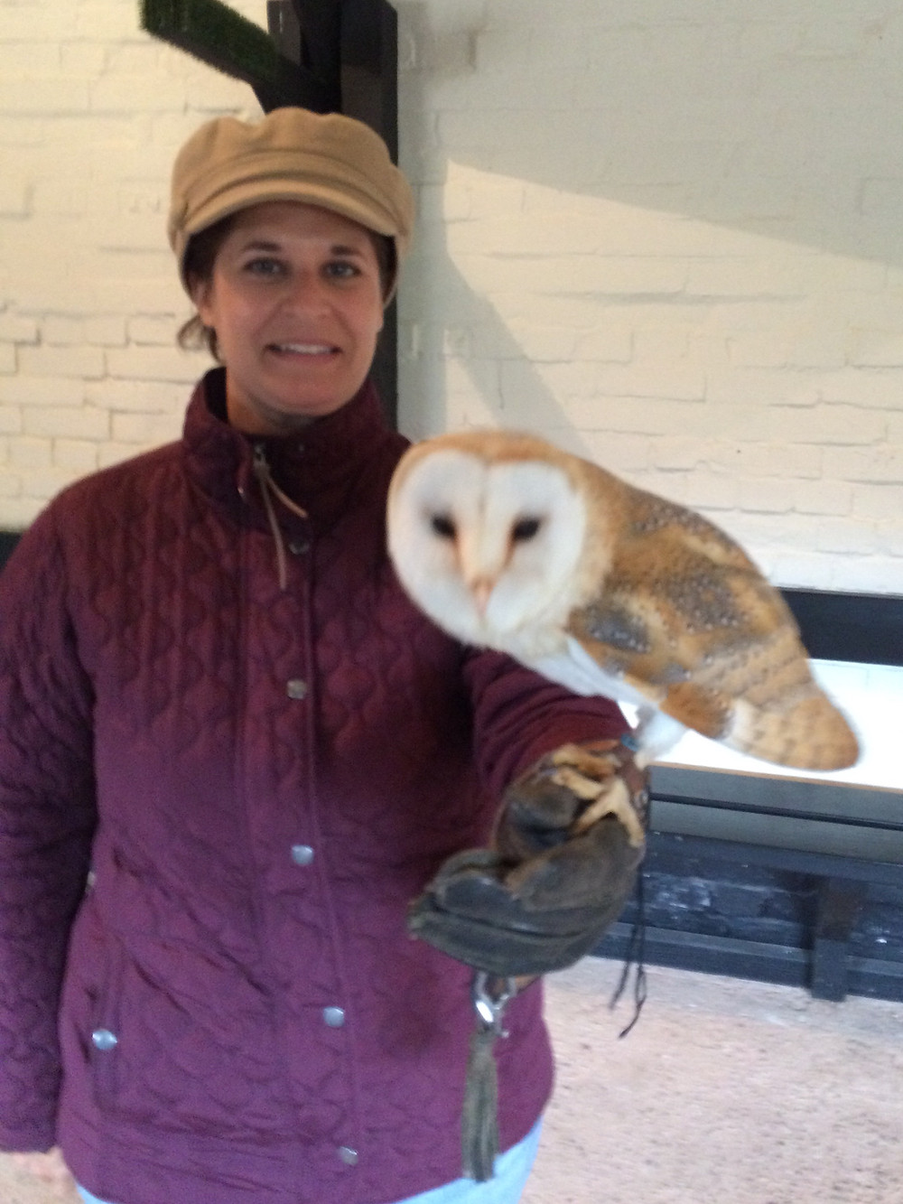 Author of the Taxidermist's Lover, Polly Hall