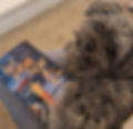 Sascha getting ready to read Don't Drag This Out by Emery Lee