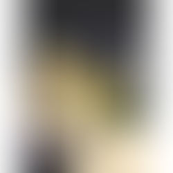 【グッズイラスト】金色のガッシュ!!オンラインショップ公式グッズイラスト(株式会社BIRGDIN BOARD)