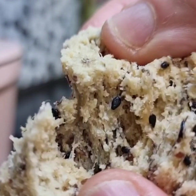 Thumbnail: Keto Soft and Fluffy Bread