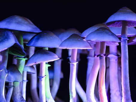 MDMA and “Magic Mushrooms” recognised as medicines by TGA