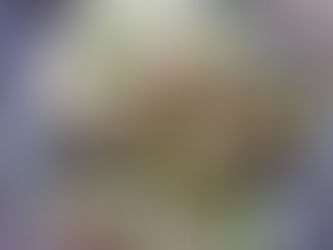 Chicken Tacos with yoghurt sauce