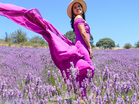 A Slice of Provence In The Bay Area