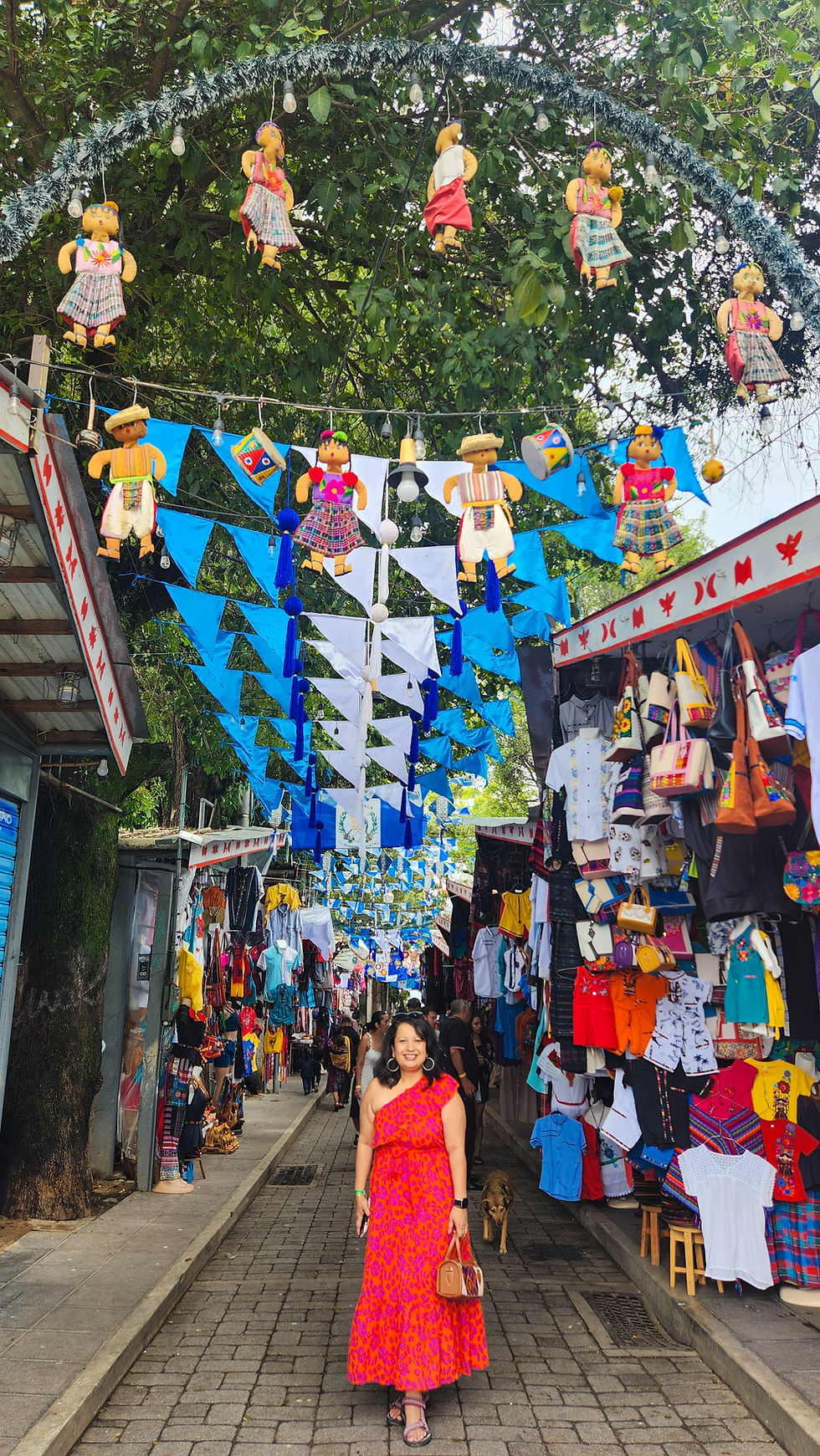More shopping along Calle Santander