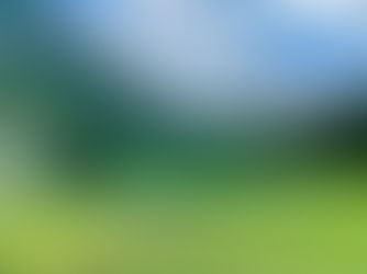 Top 10 Things To Do in Colorado, The Centennial State