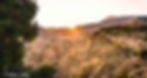 Sunset along the hogback