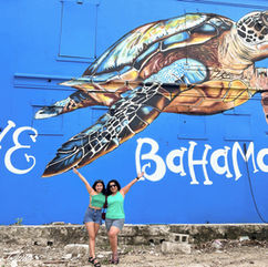 Seas The Day - A Bahamas Getaway