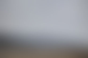 4 Must-Dos Along The Oregon Coast