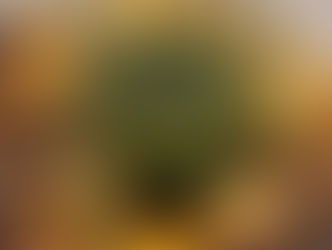 Recipe: Sweet Potato Chips