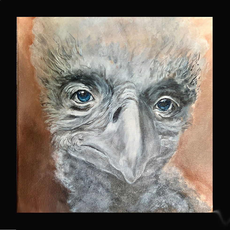 Compassion Bird -original 12x12 painting from 2026 collection by Janet Strayer