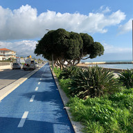 sunny seaside in winter