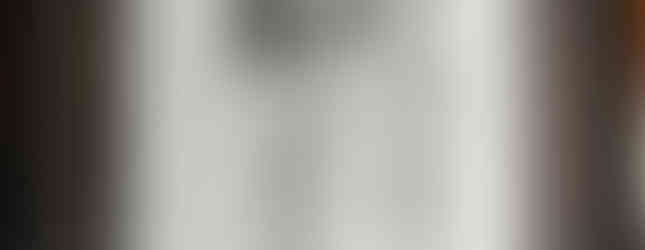  Among Birds by Janet Strayer