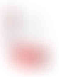 Day 5 rhymed text Run Spot Run