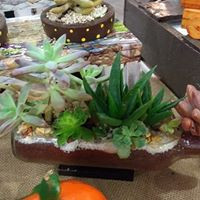 Miniatura: Arreglos con suculentas