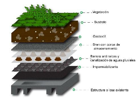 Componentes de un Techo Verde