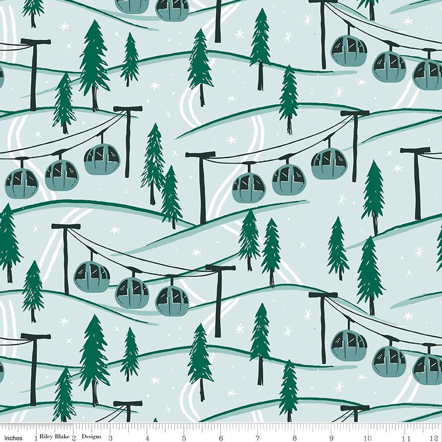 Ski Hill Mountainside Powder | C14772-POWDER