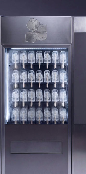 Popsicle Futura, X Machina Flora fashion story with frozen flowers, image 1 of 13