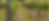 kangaroo-vineyard-1.png