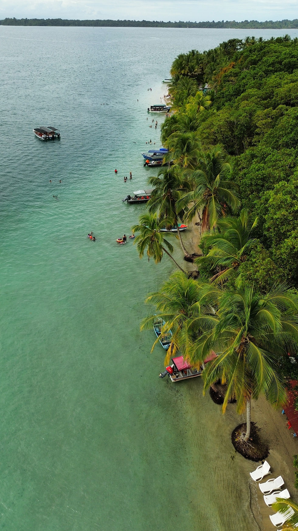 dji_fly_20260116_121958 p. m._185_1768709219266_photo_optimized