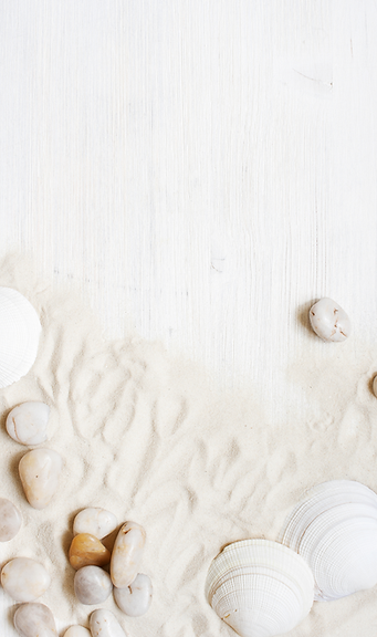 Ocean Beach Sand (2).png