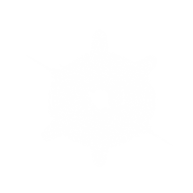 White light effects