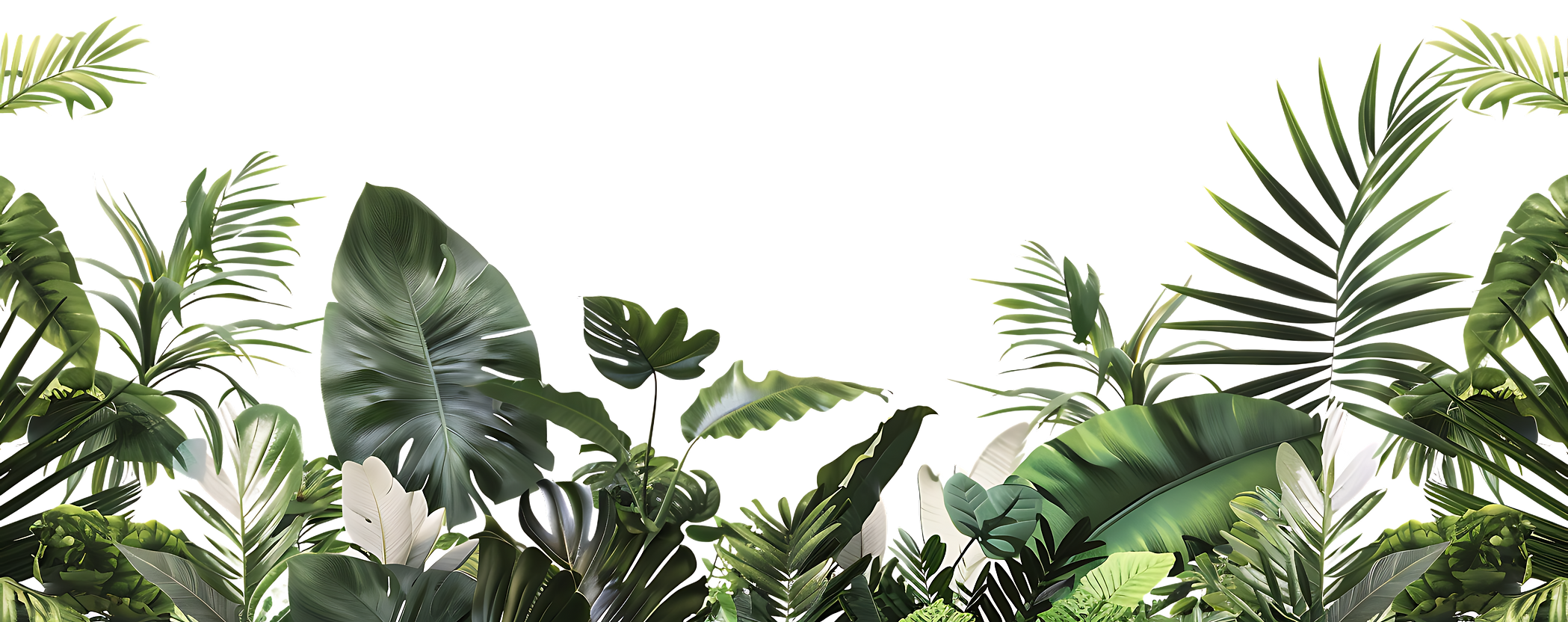 Jungle leaves