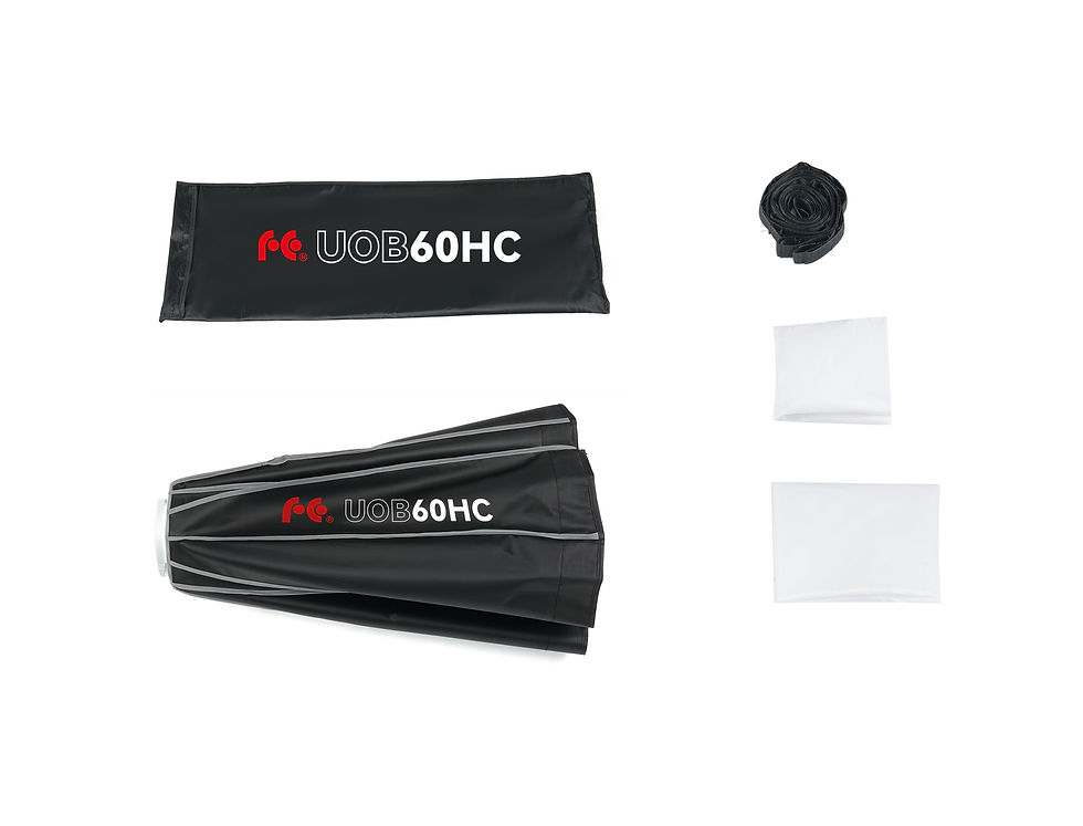 縮圖：UOB Parabolic Umbrella Grid Softbox