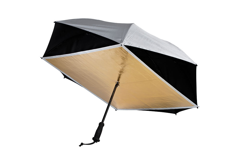 Thumbnail: PATRON-REFLECTOR