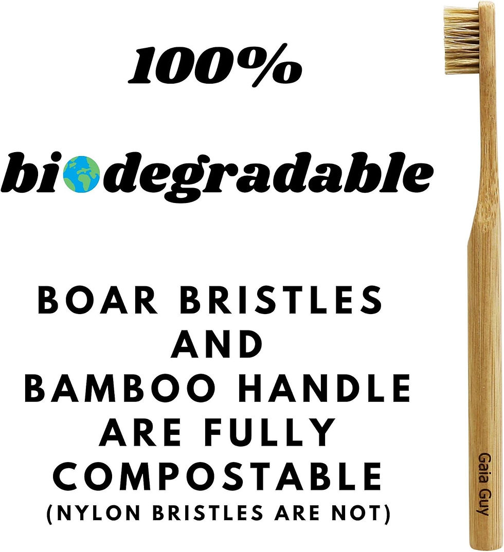 Thumbnail: Natural Bristle Bamboo Toothbrush (NO Nylon - Boar Hair ONLY)