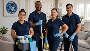 Cleaners Services Near Me: A Guide to Hiring Professionals