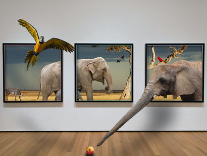 Niste ludi, slon je u sobi! 