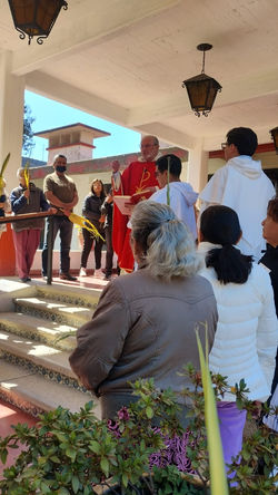 Domingo de Ramos