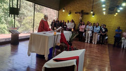 Celebración Eucarística Domingo de Ramos