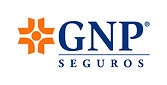 logo-GNP.jpeg
