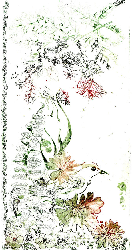 L'oiseau