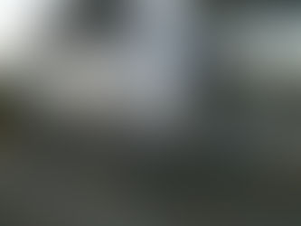 The Big Shiny Dog House