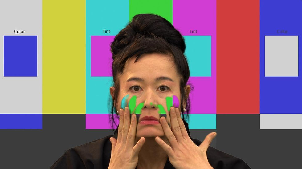 How Not to Be Seen_ A Fucking Didactic Educational .MOV File 2013, Hito Steyerl