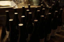 Une journée dans nos chais