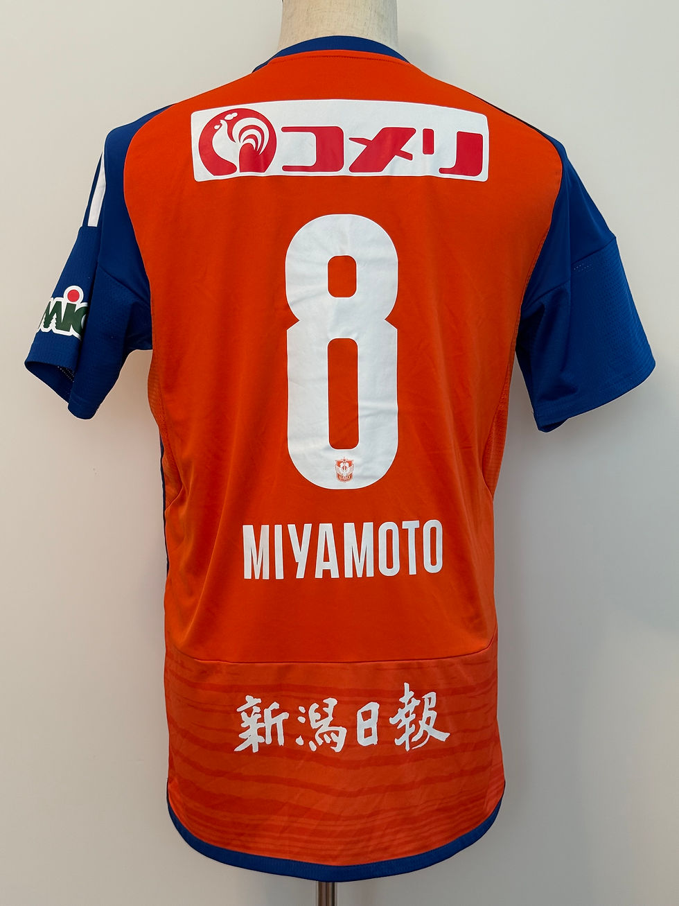 縮圖：2024 新潟天鵝 主場球衣 (連字 #8) (Size XL) (中古)