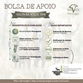 Bolsa Rusi.png