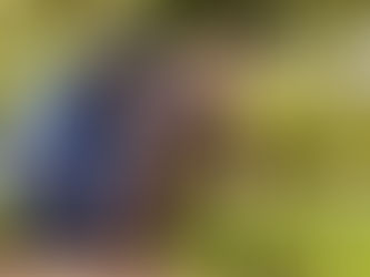 What Thriving Neighborhoods Actually Look Like (And It's Not What You Think) 